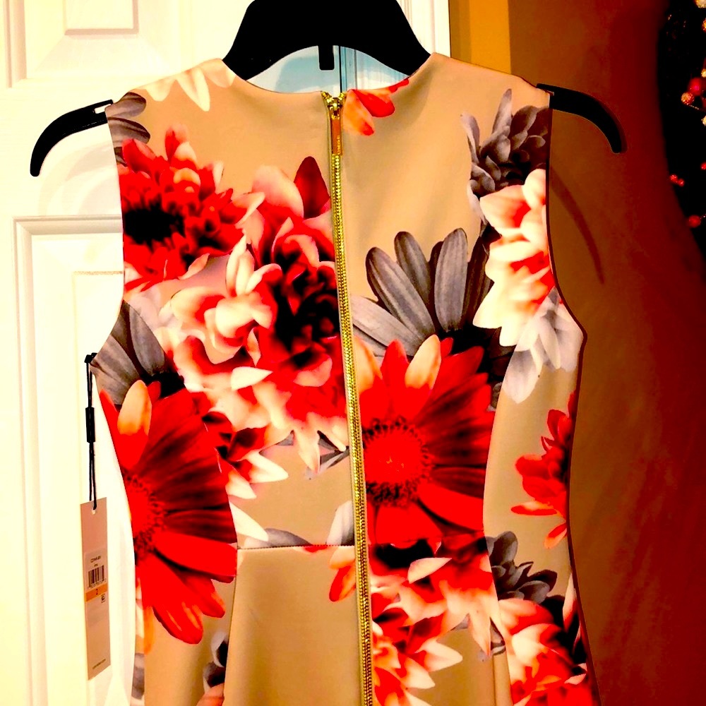 CALVIN KLEIN DRESS ❤️👗❤️ - Picture 3 of 3